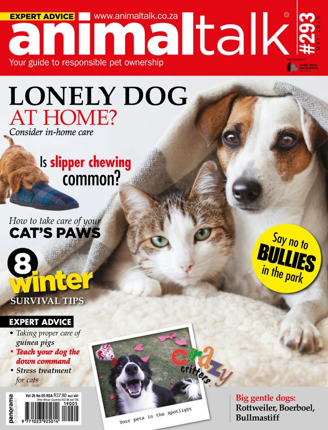 Vuélvete ilimitado con Magzter GOLD