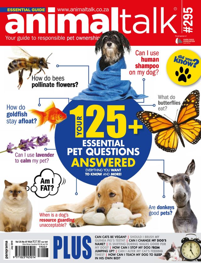 Vuélvete ilimitado con Magzter GOLD