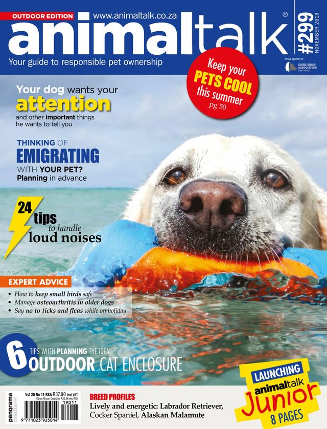 Vuélvete ilimitado con Magzter GOLD