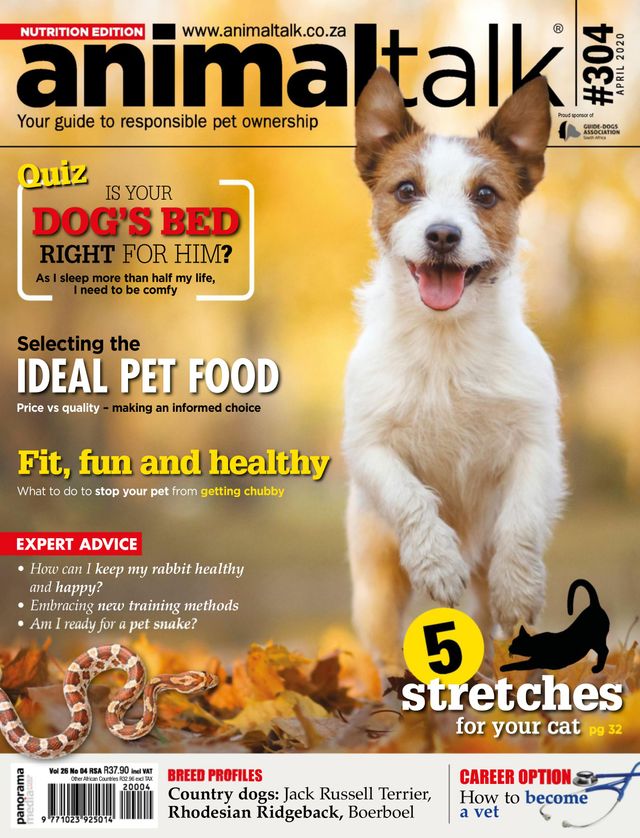 Vuélvete ilimitado con Magzter GOLD