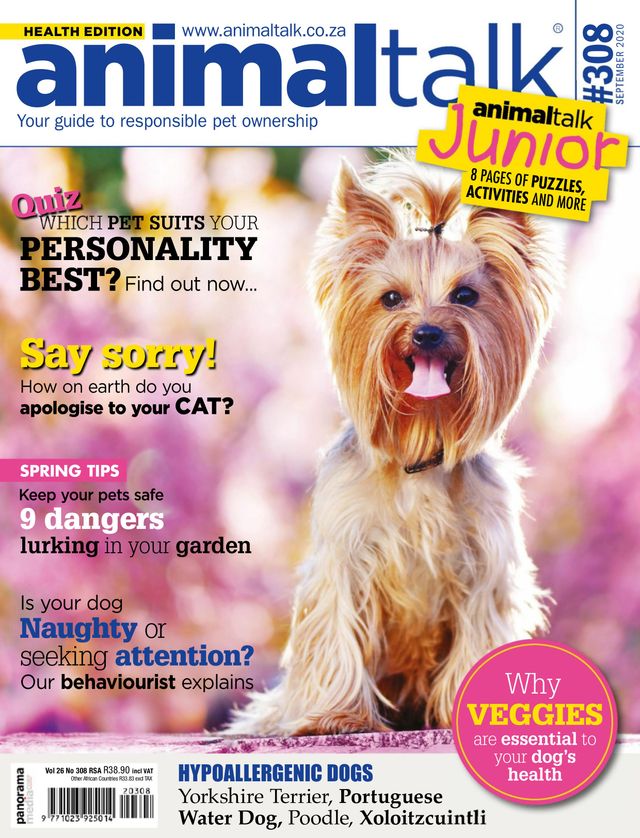 Animaltalk Magazine