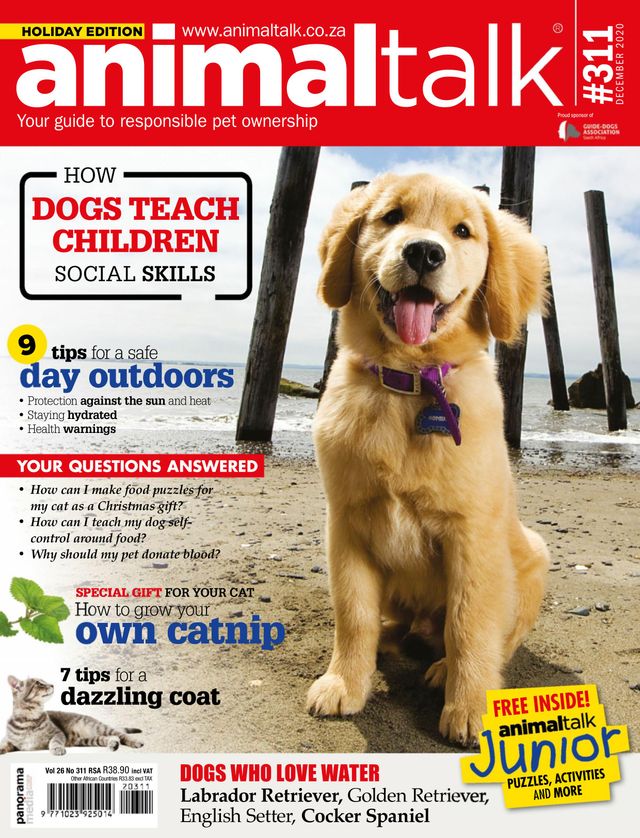 Vuélvete ilimitado con Magzter GOLD