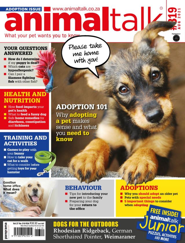 Animaltalk Magazine