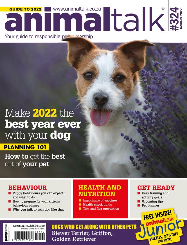 Animaltalk Magazine