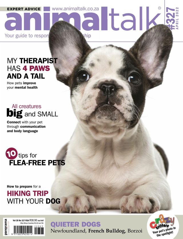 Animaltalk Magazine
