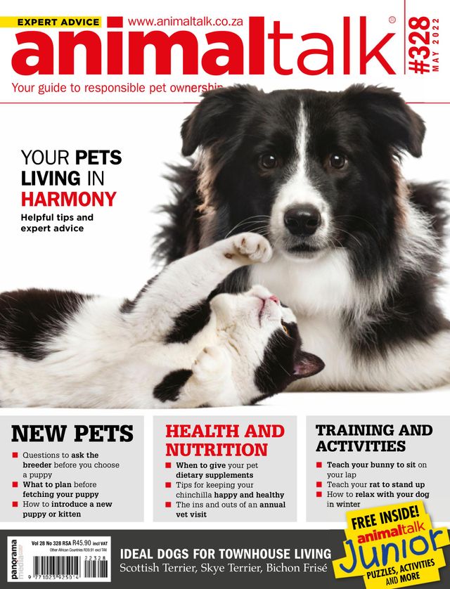 Animaltalk Magazine