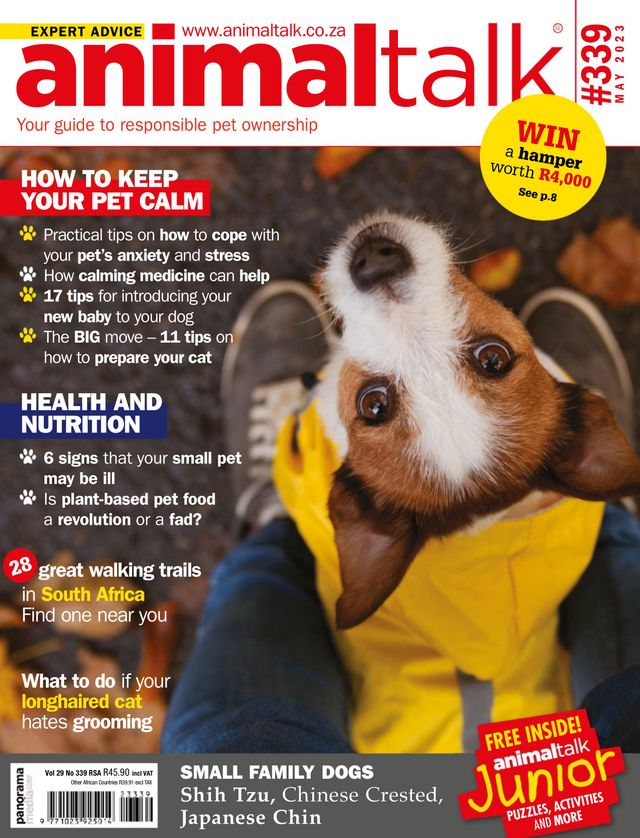 Animaltalk Magazine