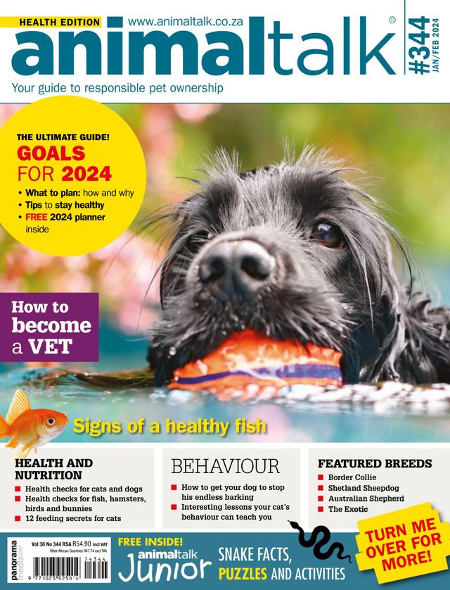 Animaltalk Magazine