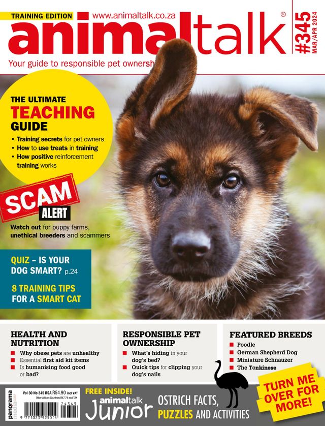 Animaltalk Magazine