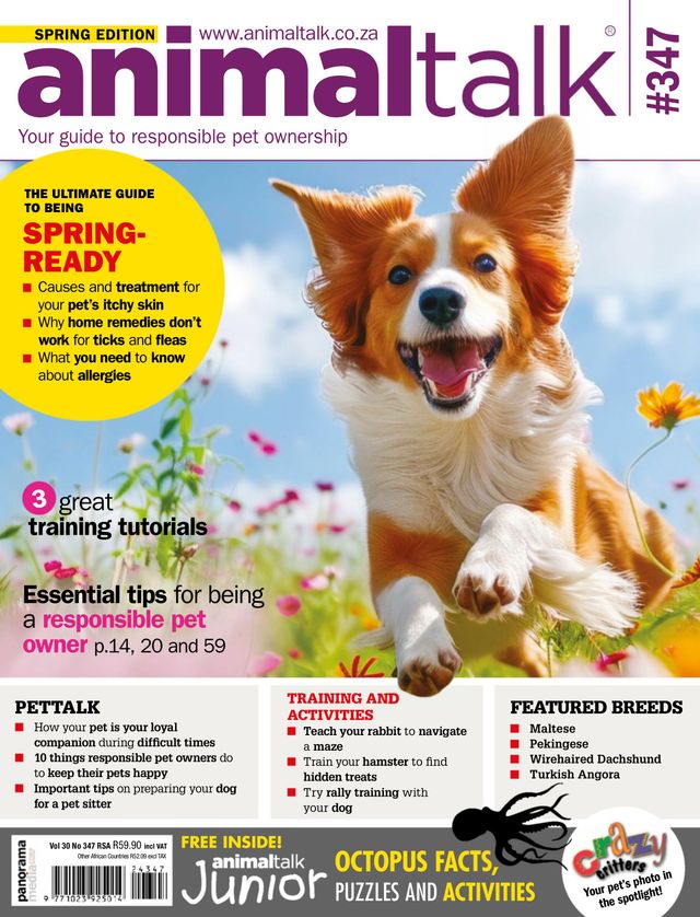 Animaltalk Magazine
