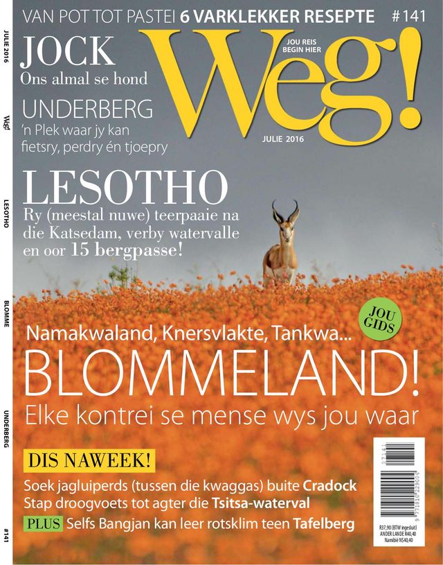 Weg!