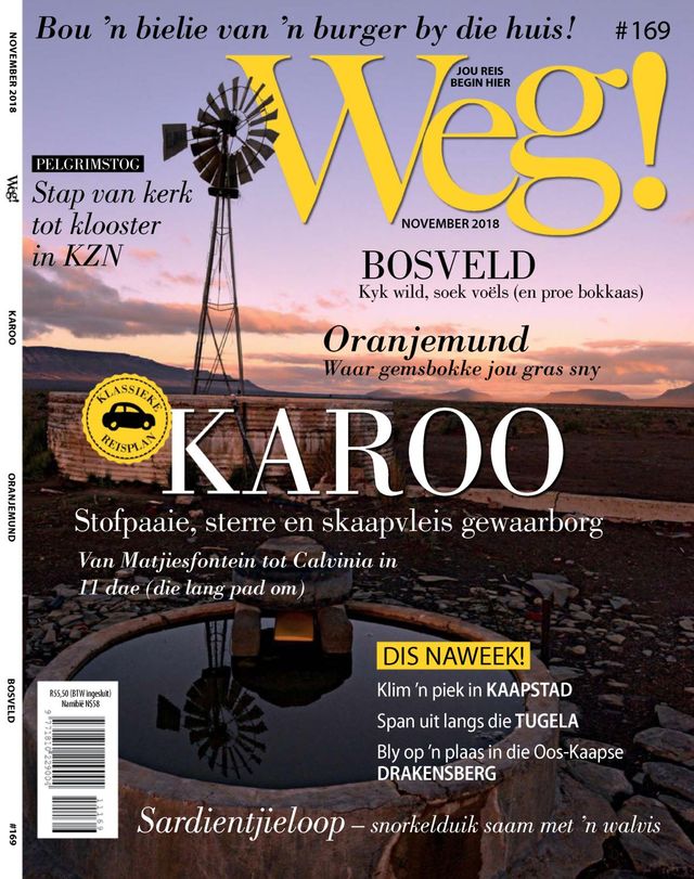 Go Unlimited with Magzter GOLD