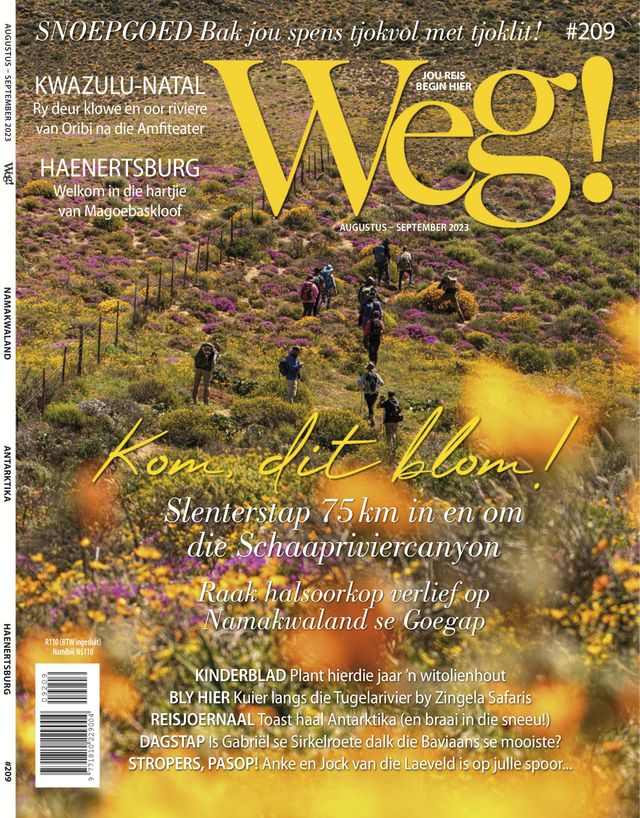 Go Unlimited with Magzter GOLD