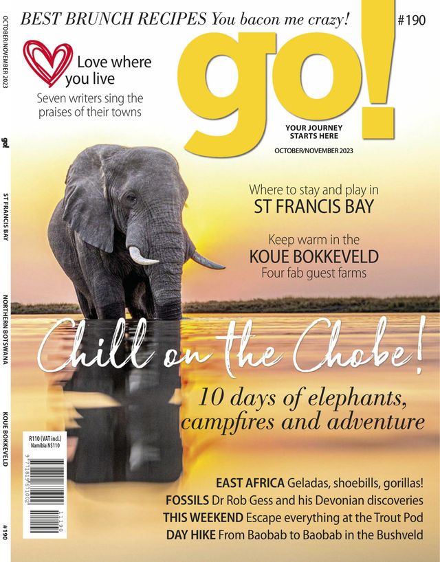 go! - South Africa