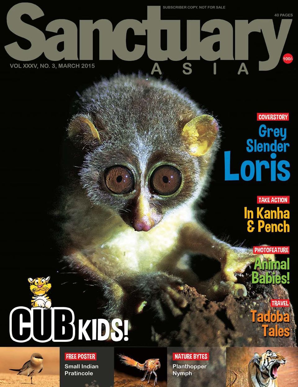 Sanctuary Cub Magazine - Get your Digital Subscription