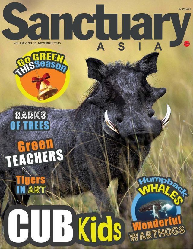 Sanctuary Asia