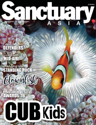 Sanctuary Asia