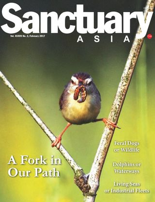 Sanctuary Asia