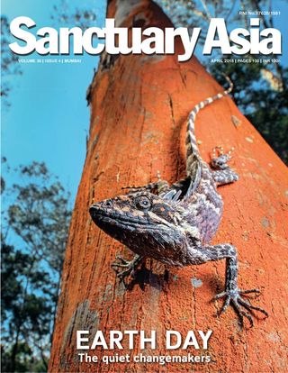 Sanctuary Asia