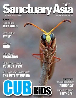 Sanctuary Asia
