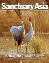 Sanctuary Asia - August 2018 August 2018