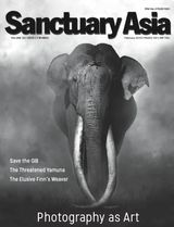Sanctuary Asia - February 2019 February 2019