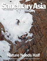 Sanctuary Asia - August 2019 August 2019