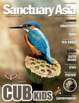 Sanctuary Asia - September 2019 September 2019