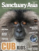 Sanctuary Asia - November 2019 November 2019