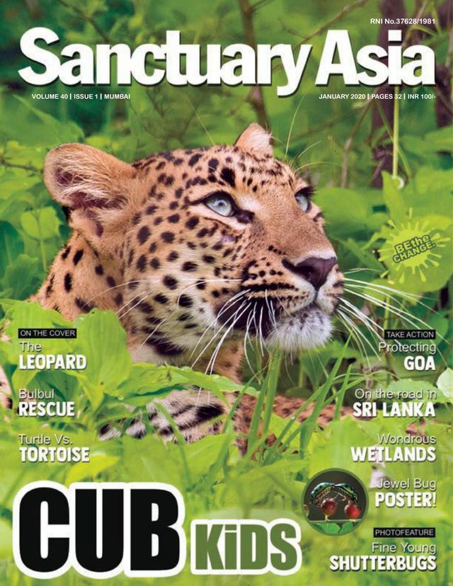 Sanctuary Asia