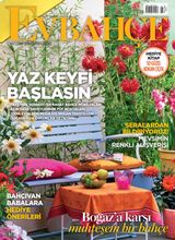 Haziran 2015