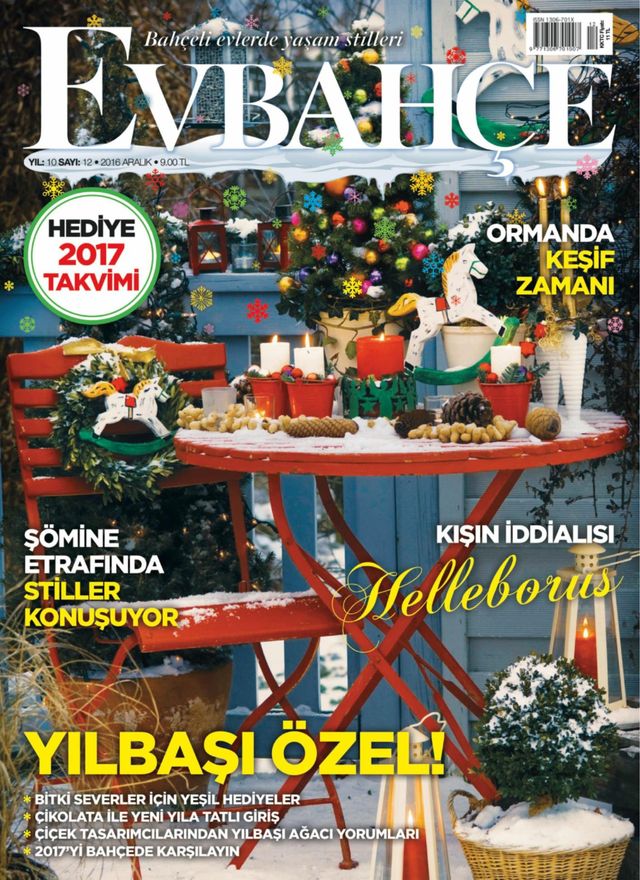 Ev Bahçe