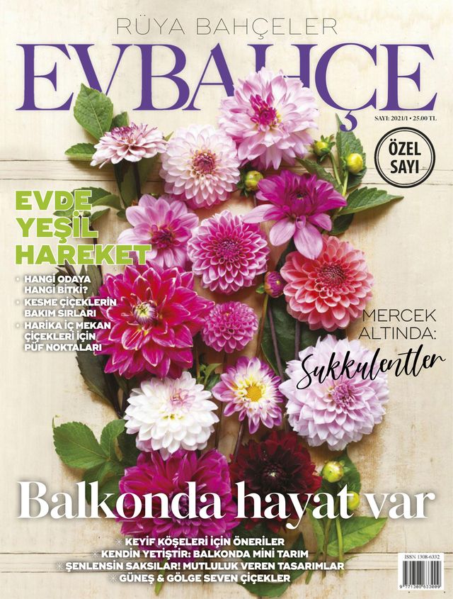 Ev Bahçe