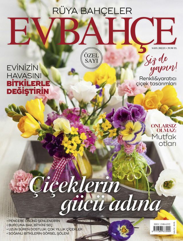 Ev Bahçe