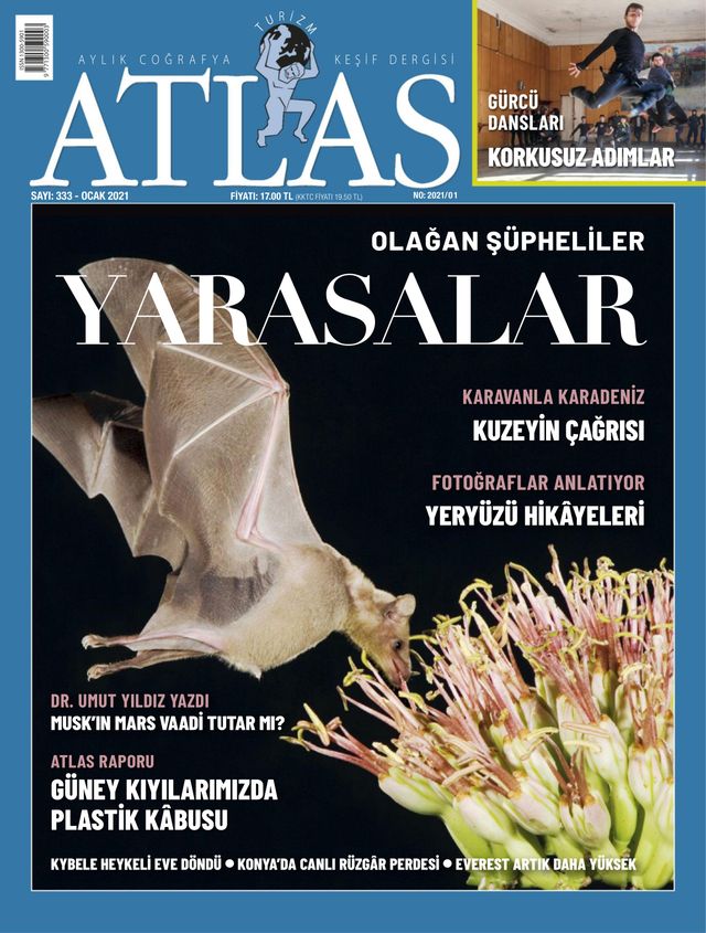 मैगज़्टर गोल्ड के साथ असीमित हो जाओ