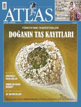 Kasım 2022