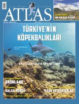 Ağustos 2023