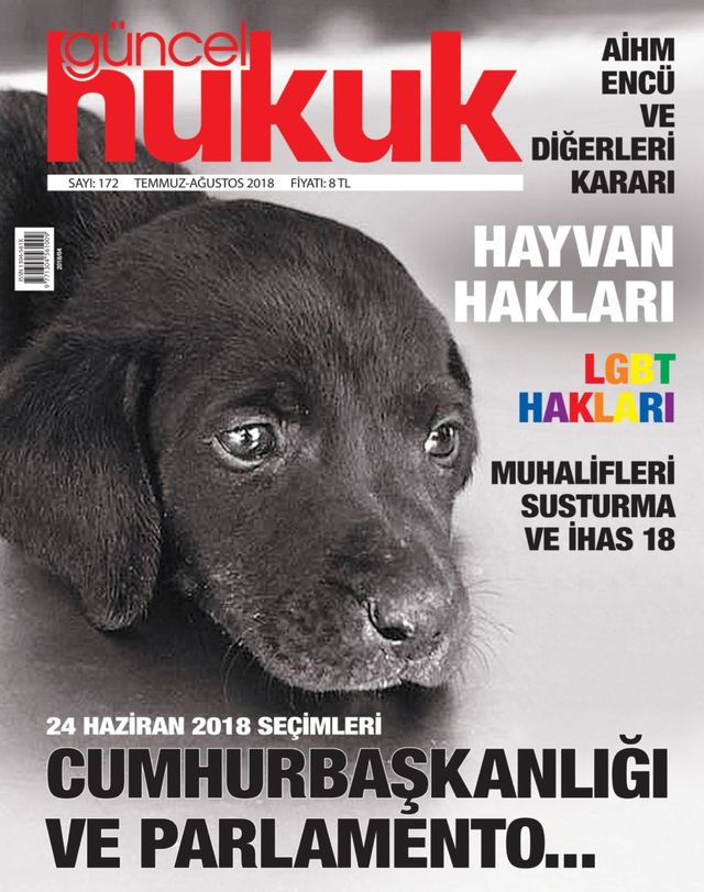 Güncel Hukuk
