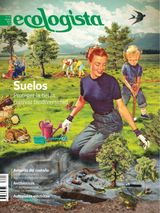 Verano 2017