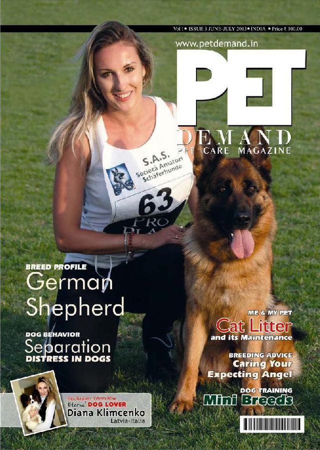 Pet Demand