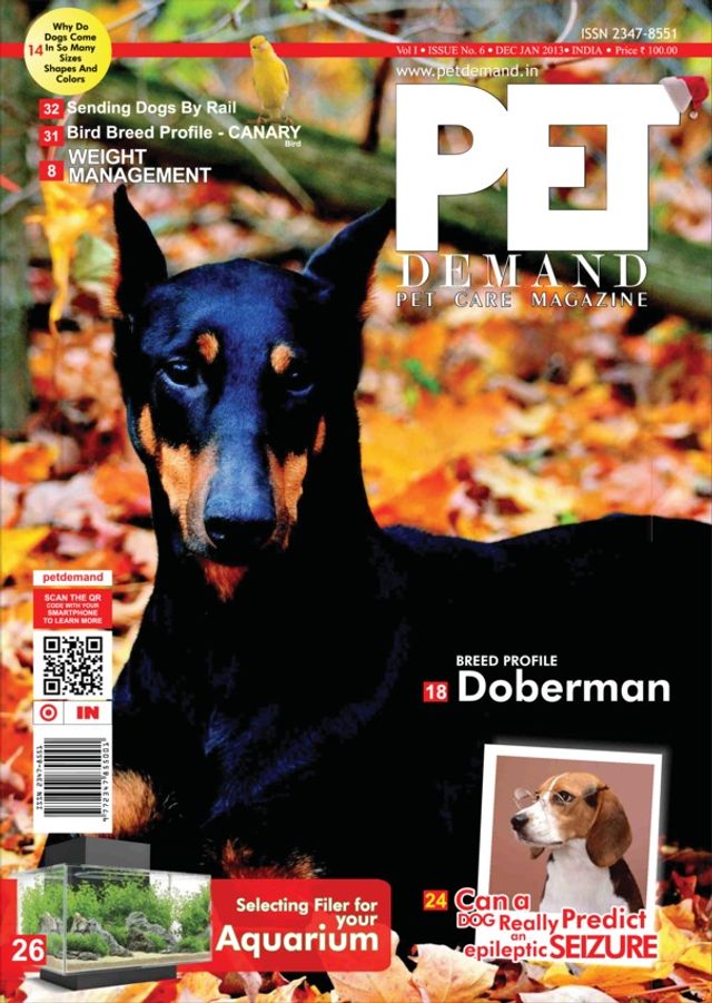 Pet Demand