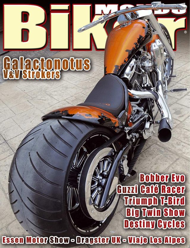 Gå ubegrenset med Magzter GOLD