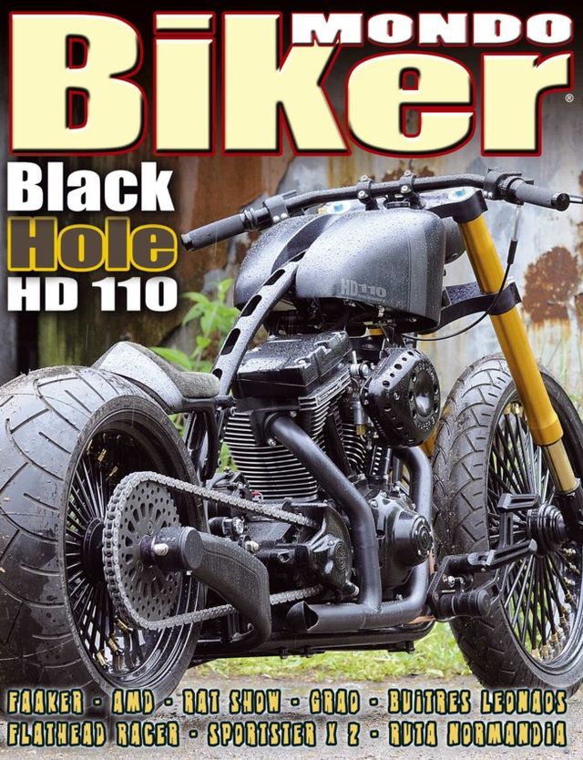 Gå ubegrenset med Magzter GOLD