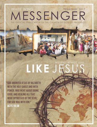 White Wing Messenger