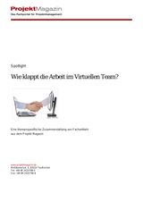 Juni 2015. Wie klappt die Arbeit im Virtuellen Team?