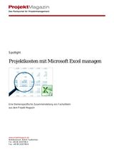 Januar 2014. Projektkosten mit Microsoft Excel managen