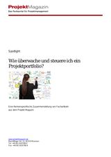 Juli 2013. Wie überwache und steuere ich ein Projektportfolio?