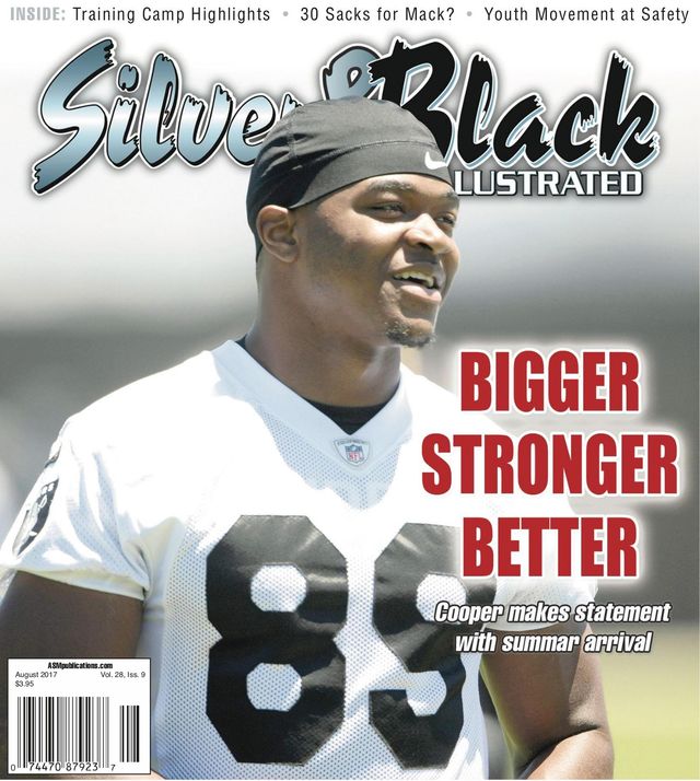 Silver & Black Illustrated