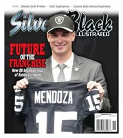 Silver & Black Illustrated