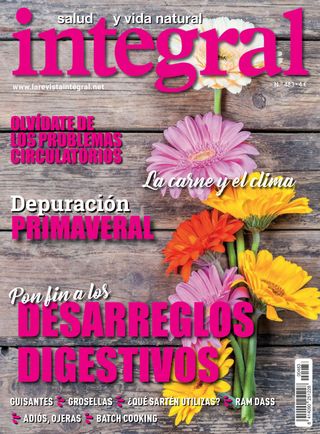 INTEGRAL